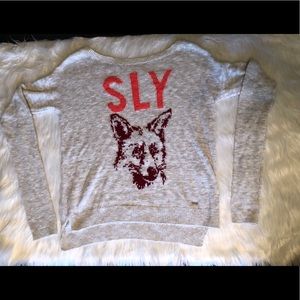 Light gray Holister sweater